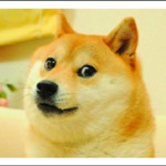 Profilbild von Han Yang